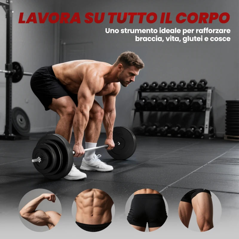 HOMCOM Set di Manubri Regolabile, Set Bilanciere e Dischi 70kg, 8 Dischi Pesi Rivestiti in Plastica e Barra in Metallo, 170x40.5x40.5cm, Nero