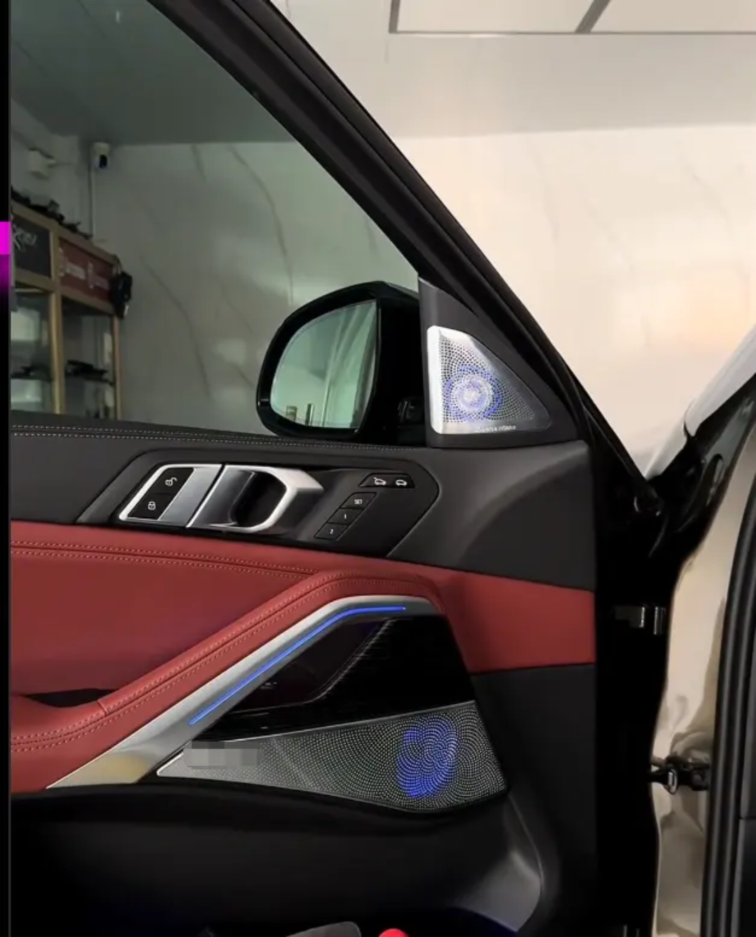 Ambient Light per BMW X6 G06, 256 Colori, APP