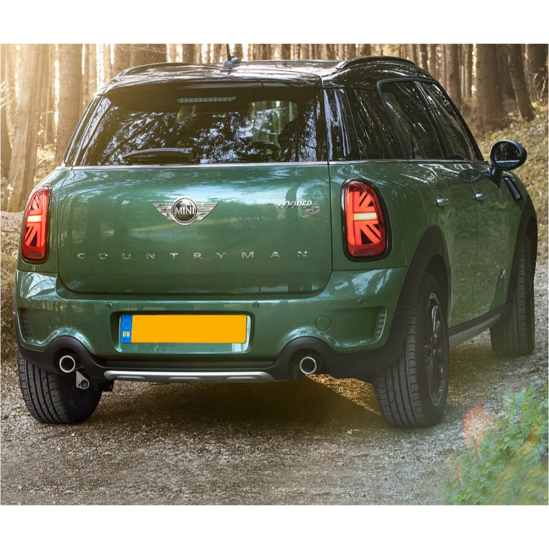 Fanali Posteriore Completo per BMW Mini Countryman R60 (2010-2017) a LED