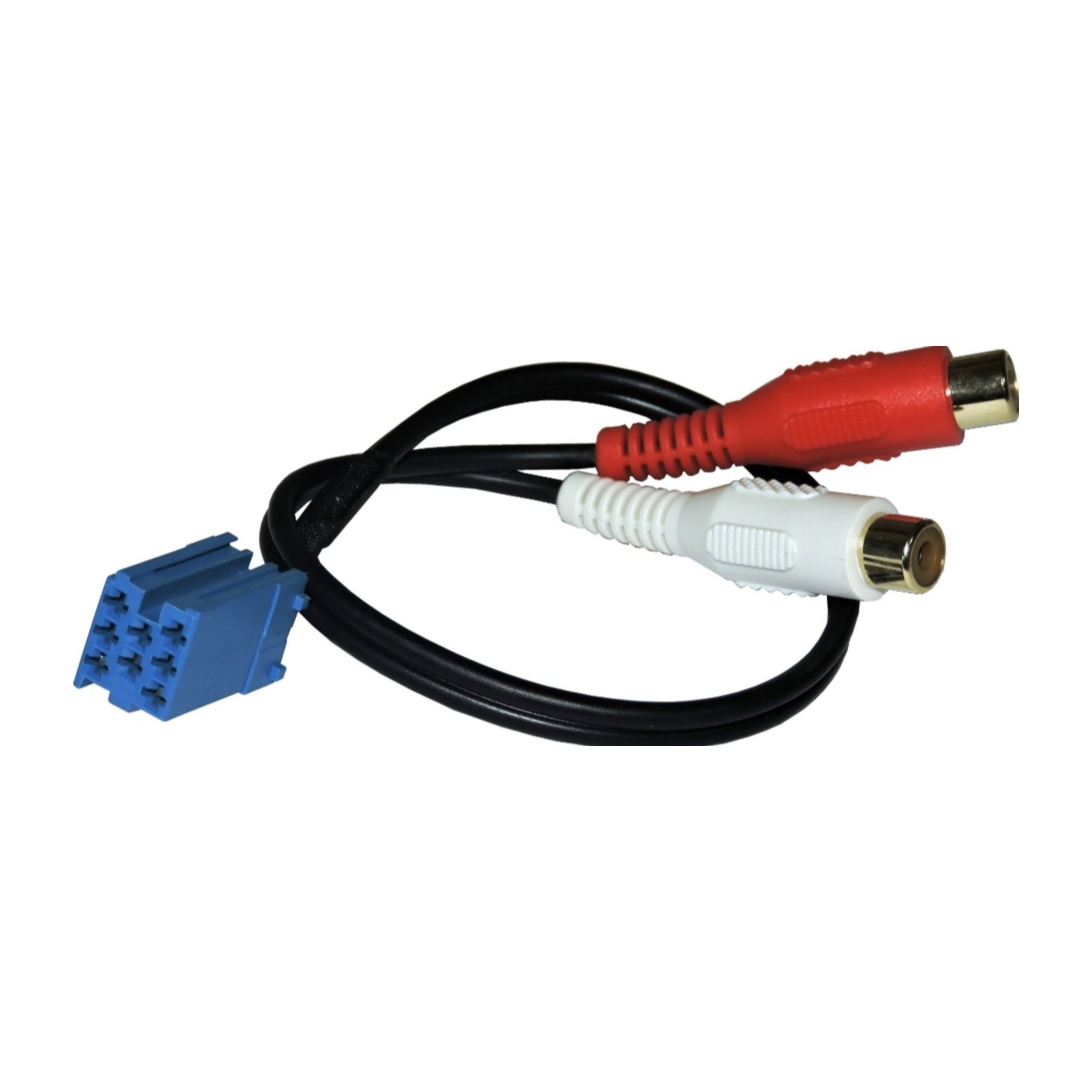 Cavo Aux-IN Blaupunkt | Connettore Blu, Ingresso RCA