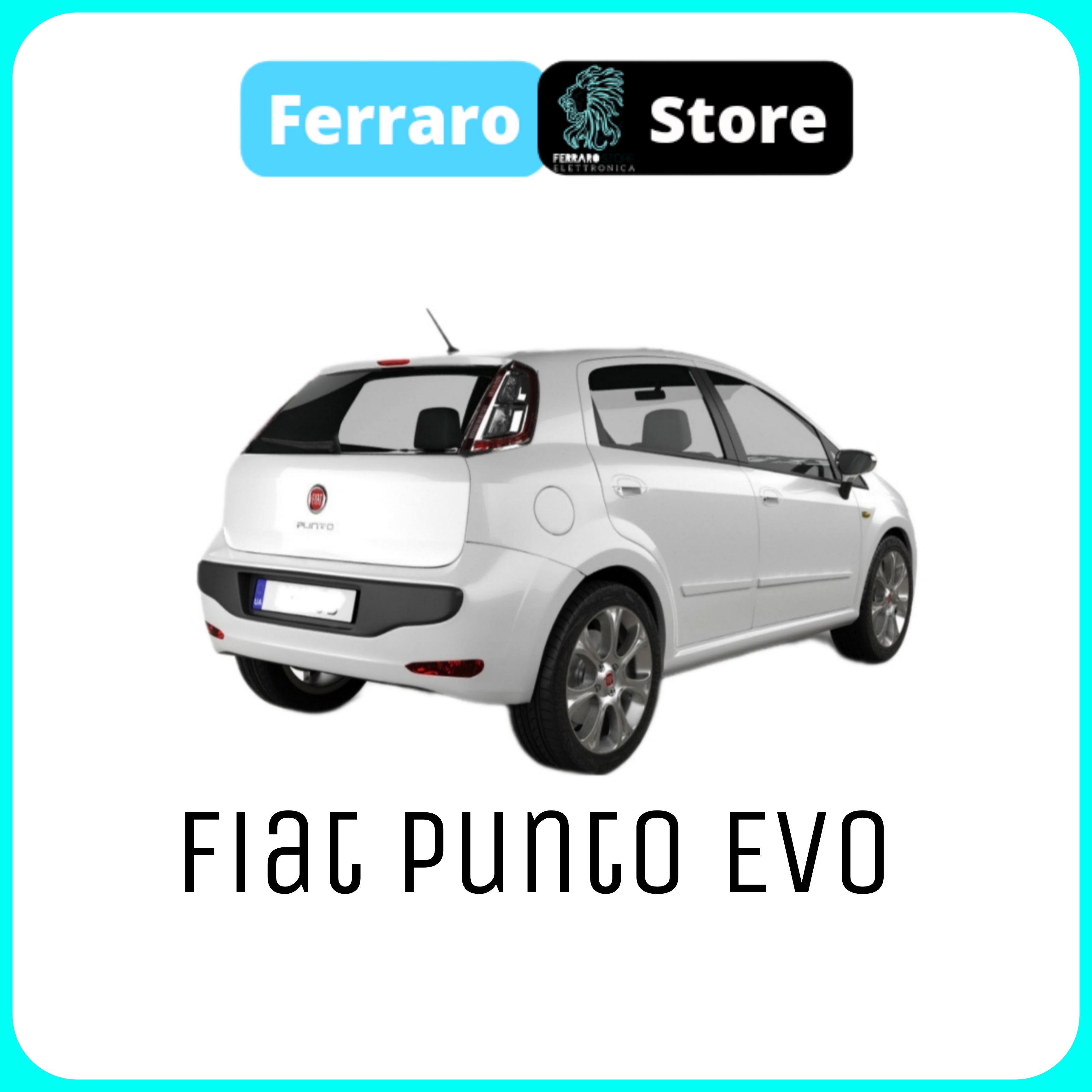 Fiat Punto Evo (2009 in Poi)