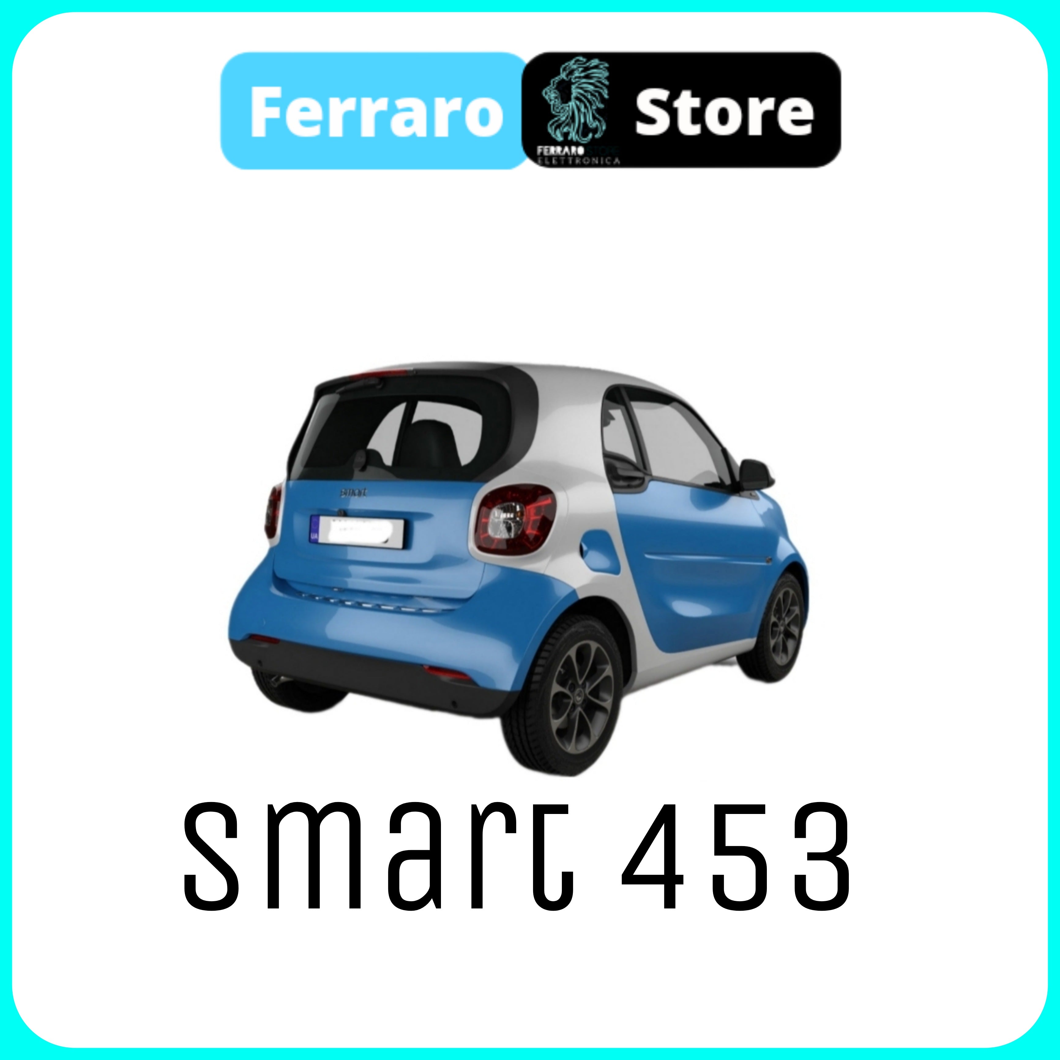 Smart | 453