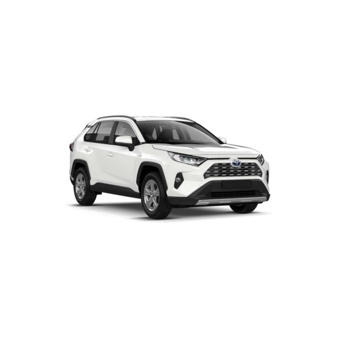 Toyota RAV4 (2018-2021)