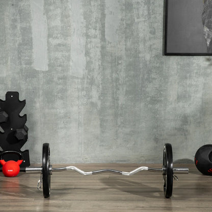 SPORTNOW Set di 2 Dischi Pesi da 20kg in Acciaio con Rivestimento in Gomma per Bilanciere