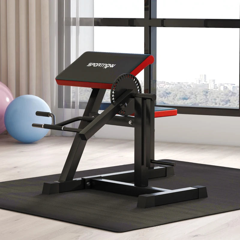 SPORTNOW Panca Romana 2 in 1 per Curl e Tricipiti con Sedile a 5 Livelli e 25 Regolazioni, Nero