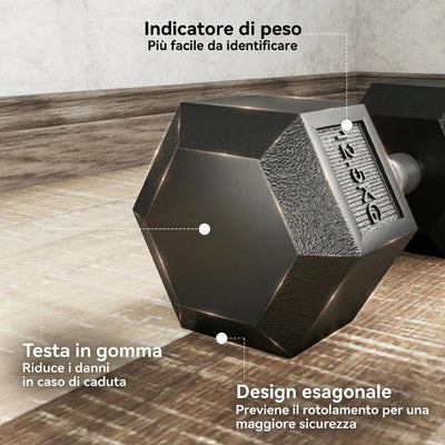 HOMCOM Set di Manubri Palestra da 2x12.5 kg Esagonale, Pesi per Palestra con Impugnatura Zigrinata Antiscivolo, Nero