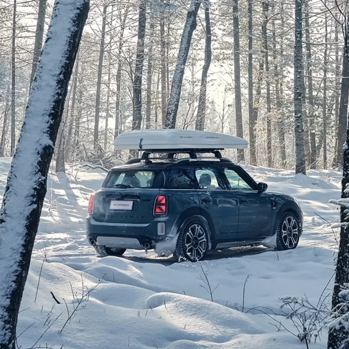 Fanali Posteriore Completo per BMW Mini Countryman F60 (2017-2023) a LED