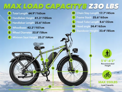 FerraroStore S8-Single, Bici Elettrica Pieghevole, 20*4", Batteria 48V