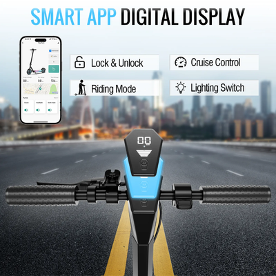 FerraroStore V10 Pro, Monopattino Pieghevole, 10", Batteria 36V