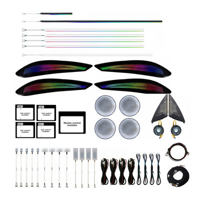 Ambient Light per BMW Serie 3 F34 GT (2013-2019), 256 Colori, APP