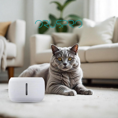 Sunny Bowl Water | Fontanella in Abs , Ultra Silenziosa, Multi-Filtro, Smontabile e Lavabile