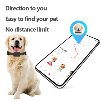 GPS per Animali, Collare Localizzatore, Tracker compatibile con iOS e Android