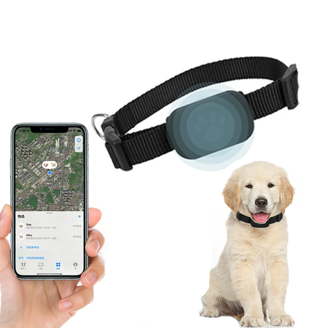 GPS per Animali, Collare Localizzatore, Tracker compatibile con iOS e Android