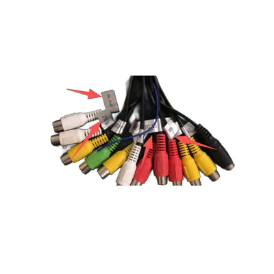 Cablaggio RCA, Doppia Uscita Amplificatore