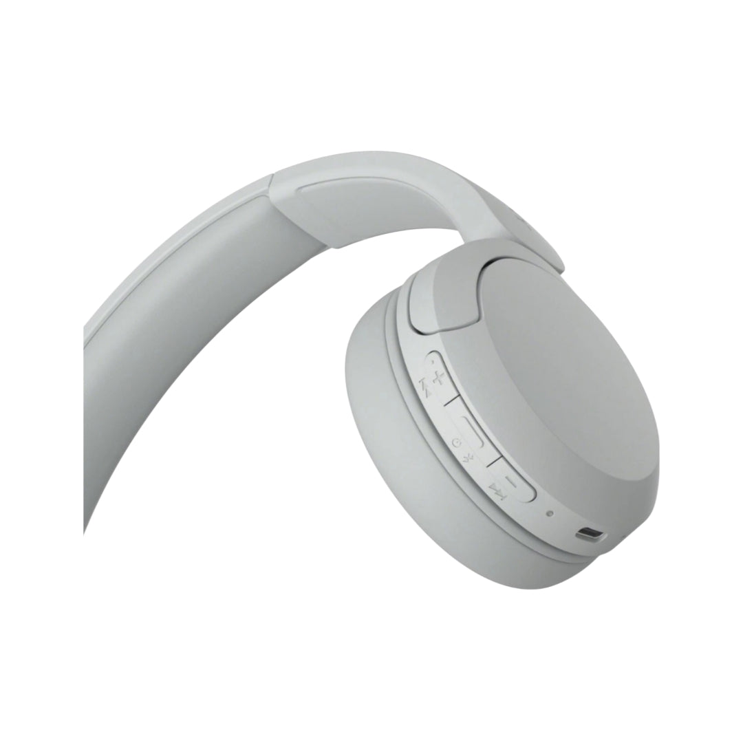 Sony Cuffie Wir/BT Mic WH-CH520