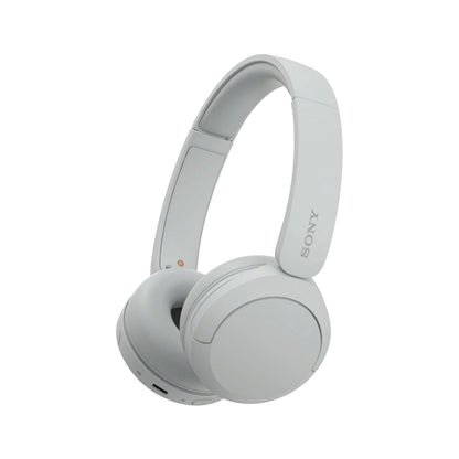 Sony Cuffie Wir/BT Mic WH-CH520