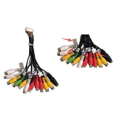Cablaggio RCA, Doppia Uscita Amplificatore